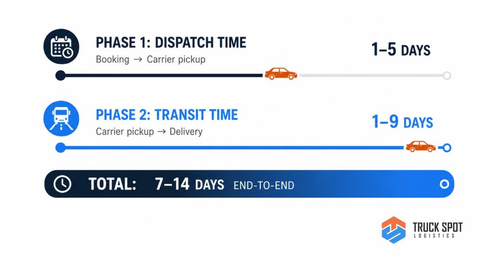 TSL Illustrations for Blog Articles - 42 Infographic showing two phases of car shipping timeline — dispatch time and transit time